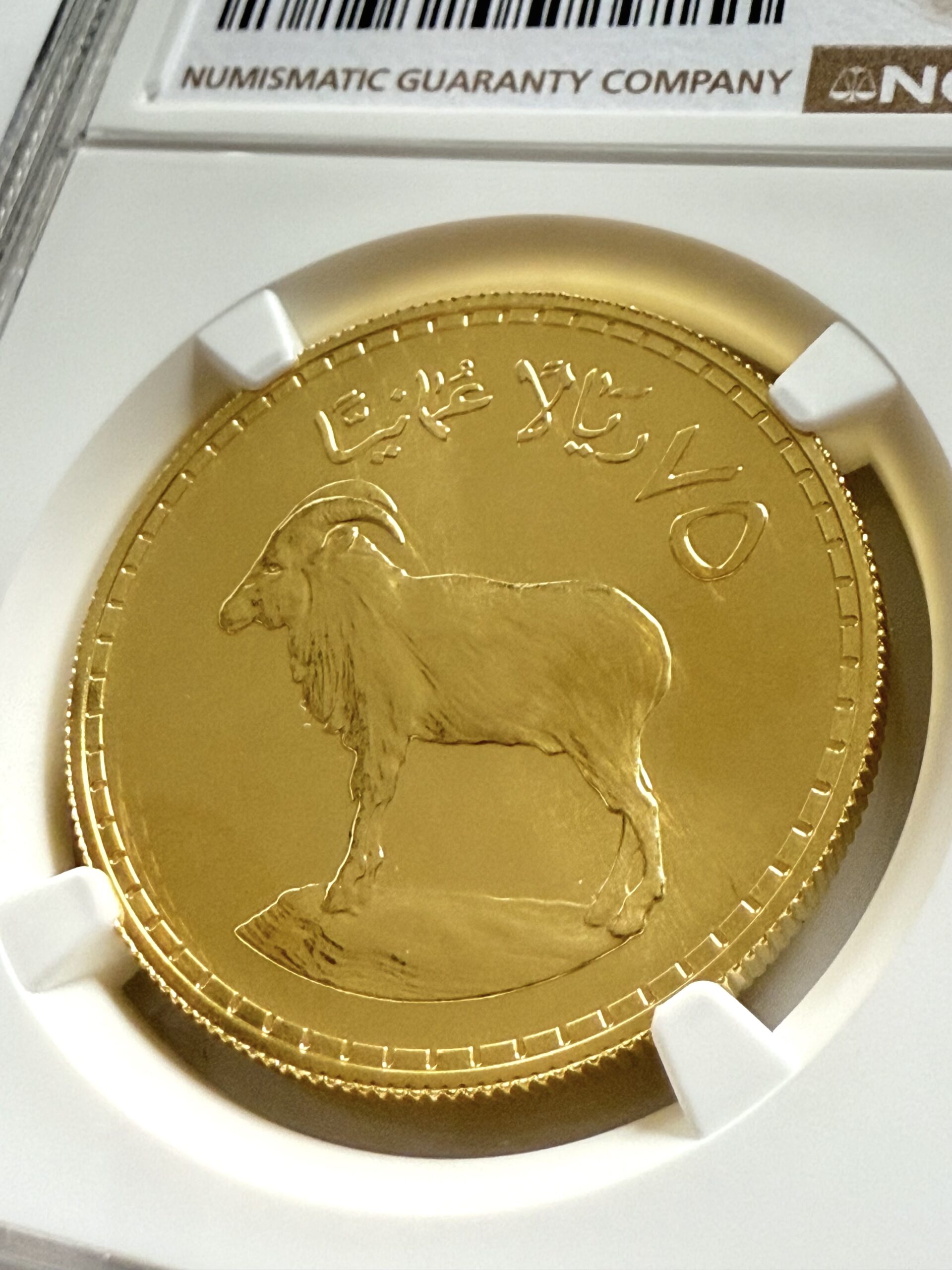 oman-1977-75-rials-arabian-tahr-gold-ngc-ms69_4 Oman AH1397 (1976) 75 Rials Gold Arabian Tahr aus der Conservation Series im NGC-Holder MS69, Cert 8582265-005