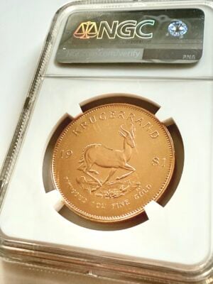 south africa-krugerrand-1981-1-oz-gold-proof-ngc-pf67-cameo_2 South Africa 1981 Krugerrand 1 oz Gold Proof in NGC holder PF67 Cameo, obverse with portrait of Paul Kruger, Cert 8583804-004