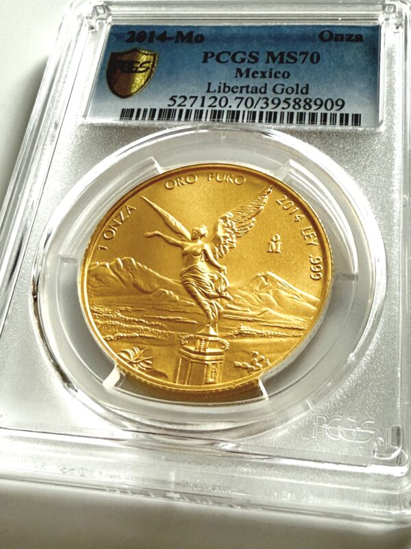 Mexiko 2014 1 Onza Libertad Gold Stempelglanz PCGS MS70 im transparenten PCGS Holder