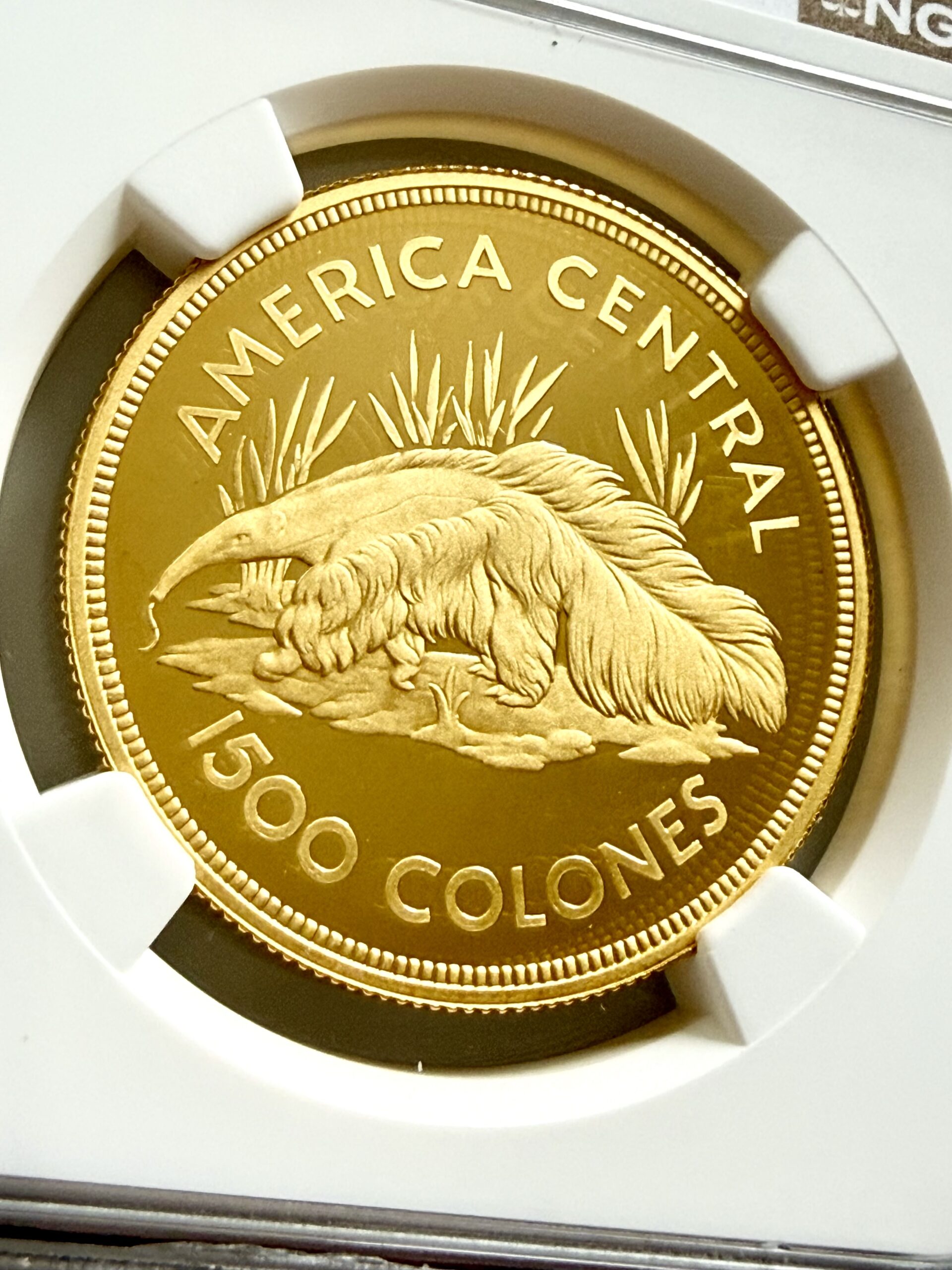 costa-rica-1974-1500-colones-anteater-conservation-series-gold-proof-ngc-pf69-ultra-cameo_5 Costa Rica 1974 1.500 Colones Goldmünze Anteater aus der Conservation Series im NGC-Holder mit Erhaltungsgrad PF69 Ultra Cameo.