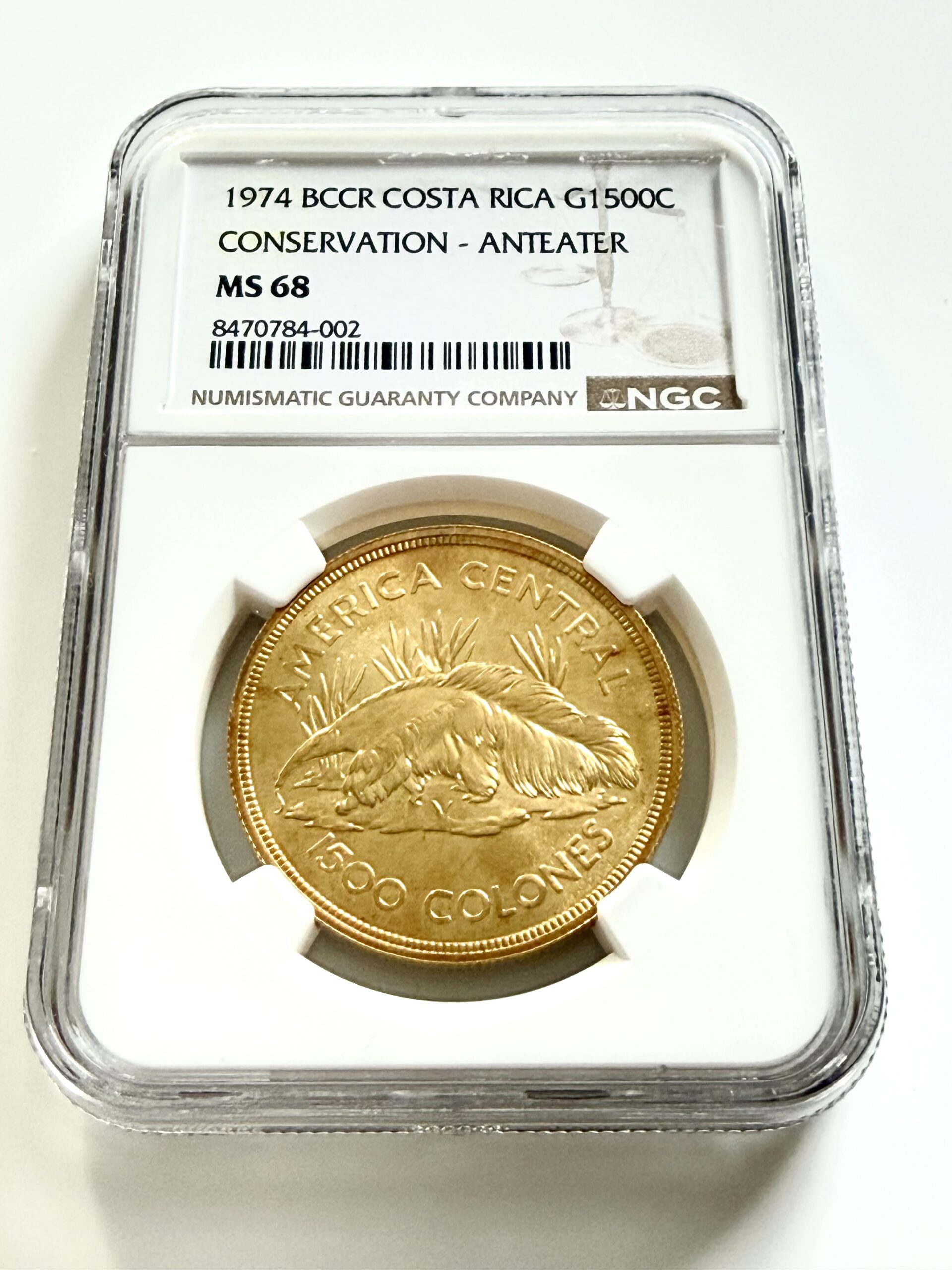 哥斯达黎加- 1974年- 1500科隆- 食蚁兽- 保护系列