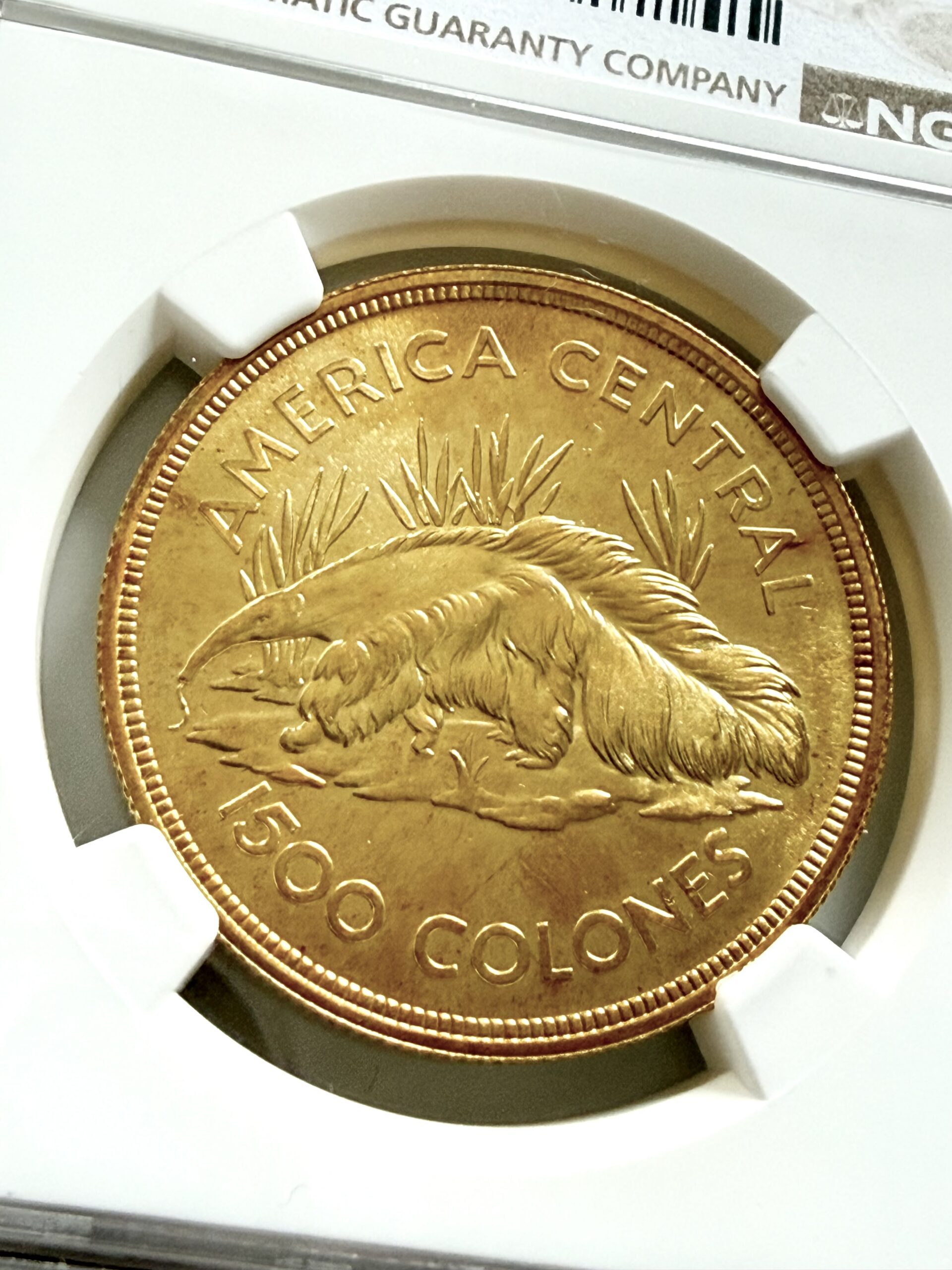 哥斯达黎加- 1974年- 1500科隆- 食蚁兽- 保护系列