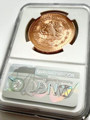 mexiko-1981-1-onza-libertad-gold-stempelglanz-ngc-ms65_2 Mexiko 1981 1 Onza Libertad Goldmünze, Stempelglanz, NGC MS65, frühe Ausgabe der mexikanischen Libertad-Serie.