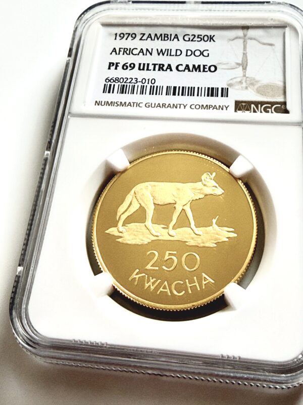 Sambia 1979 250 Kwacha Goldmünze African Wild Dog in NGC-Holder mit Proof-Bewertung PF69 Ultra Cameo.