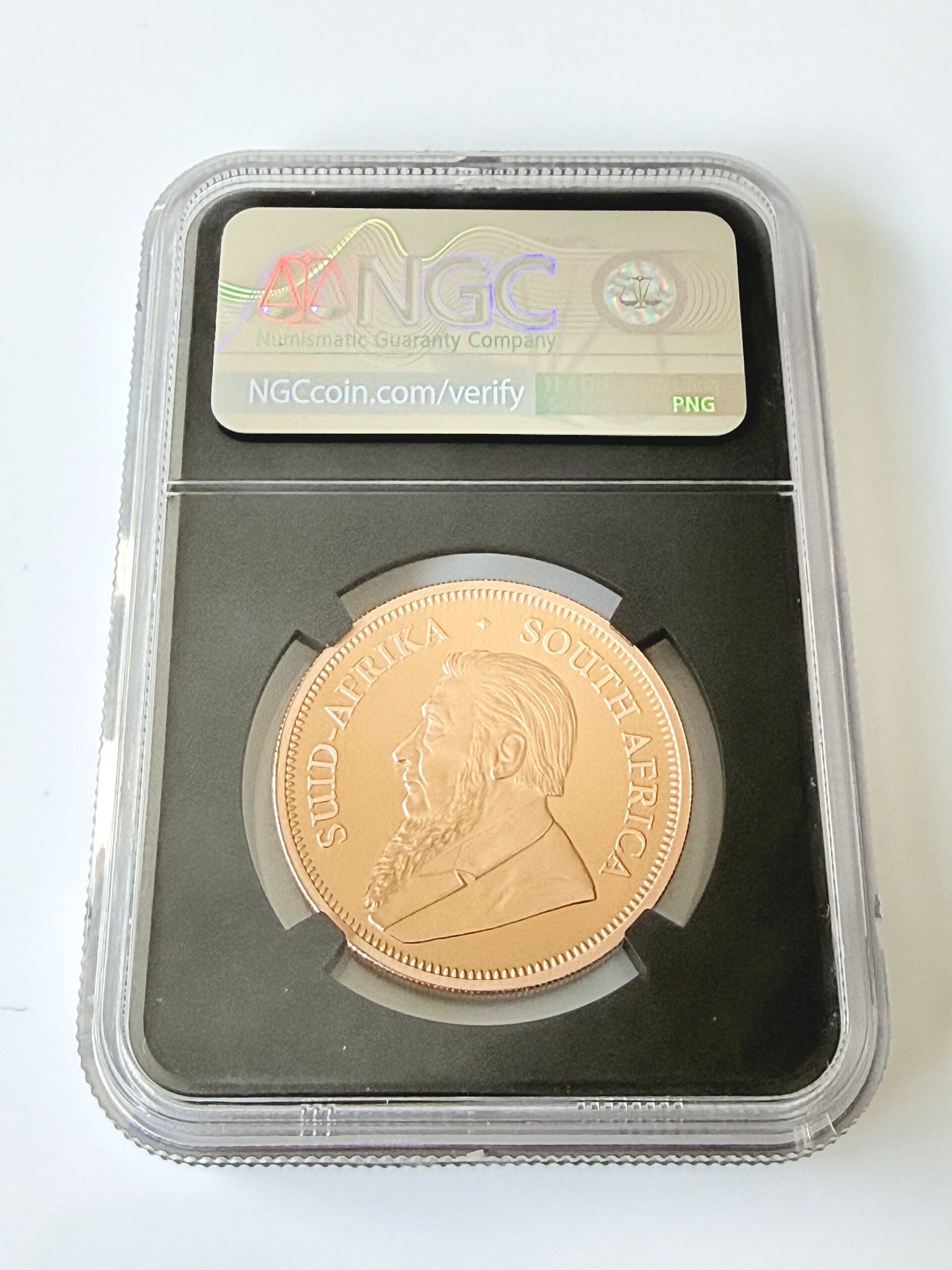 南非- 2023年- 克鲁格国家公园125周年纪念