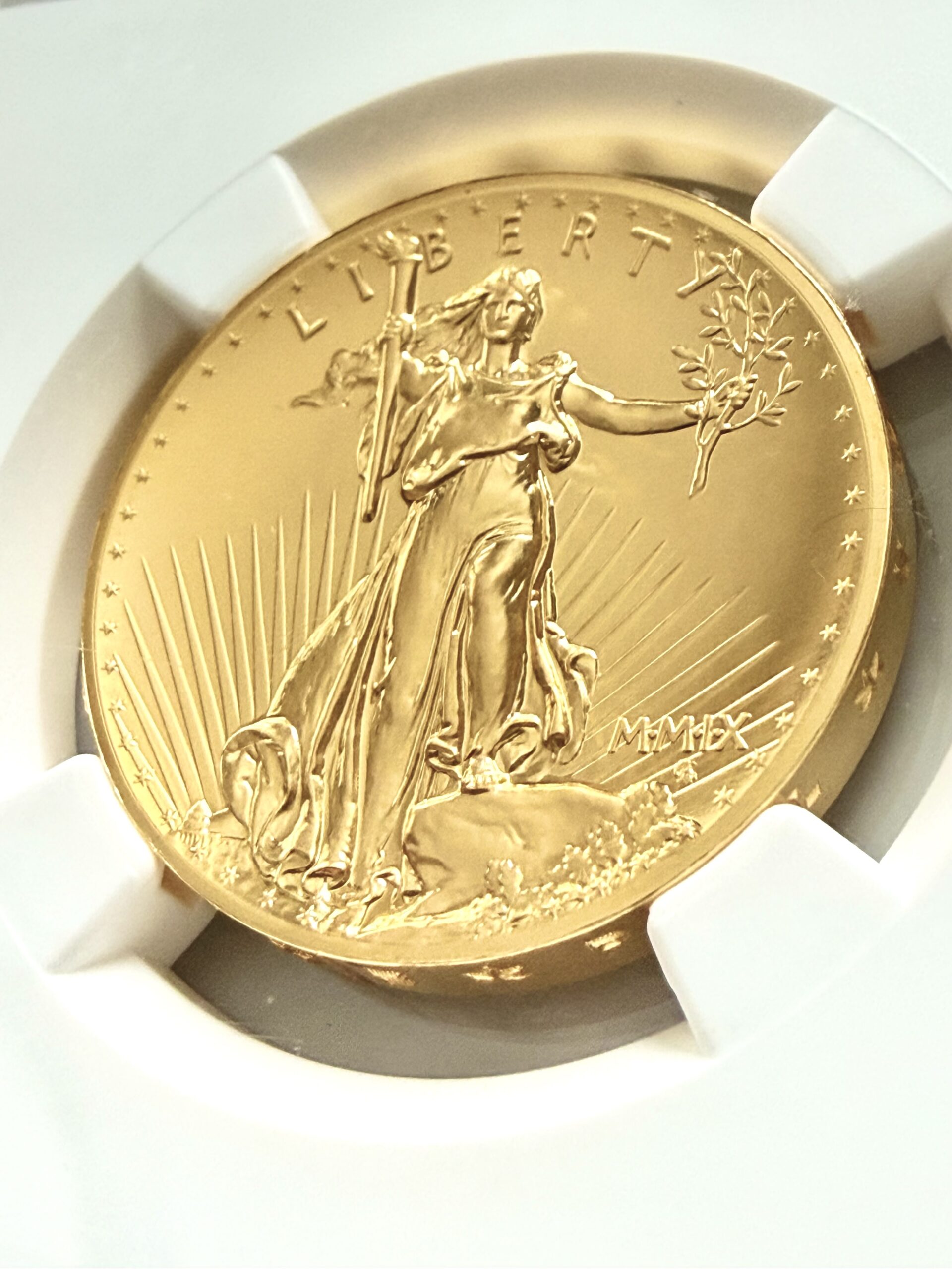 美国- 2009年- 20美元- 美国自由双鹰