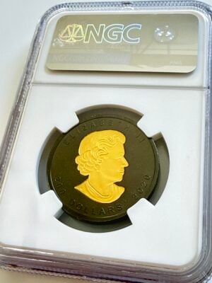 加拿大-2020-200美元-枫叶-印花设计-镀铑-金-反向防治-NGC-pf69_2 加拿大2020金币,面值200美元,枫叶铅条铑,镀于NGC PF69底座,深色底饰金枫叶
