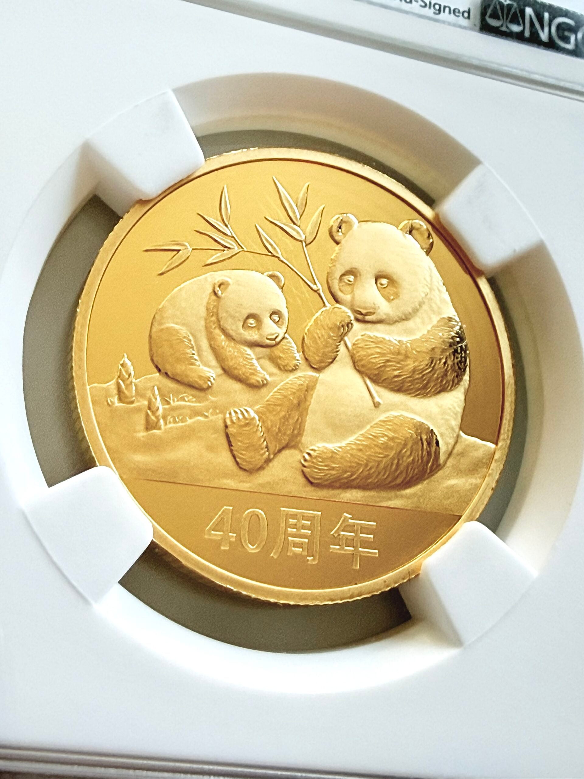 China - 2023 - 40 Years of the Panda - 1 oz Gold - Proof - NGC