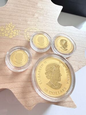 加拿大-2023-金枫叶-多面-分数-集-1-4-oz_4 加拿大2023年金枫叶多面分数套装,枫叶盒内含金币