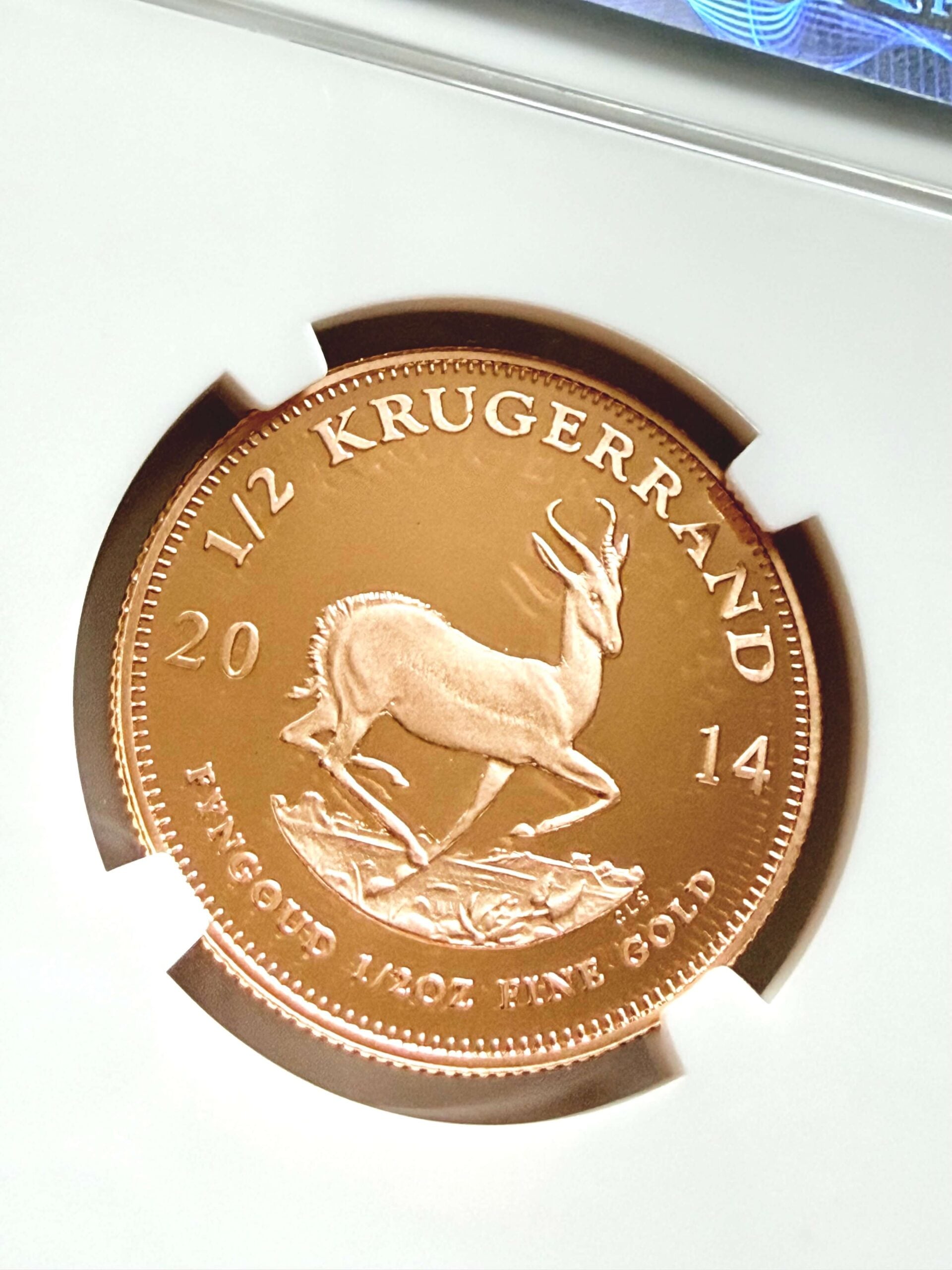 Primo piano del retro della moneta Krugerrand 1/2 oz Gold Proof NGC PF70 Ultra Cameo Top Pop del 2014 con springbok