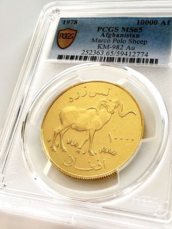Afghanistan 1978 10000 Afghanis Marco Polo Sheep Gold PCGS MS65 Zertifikat 59412774